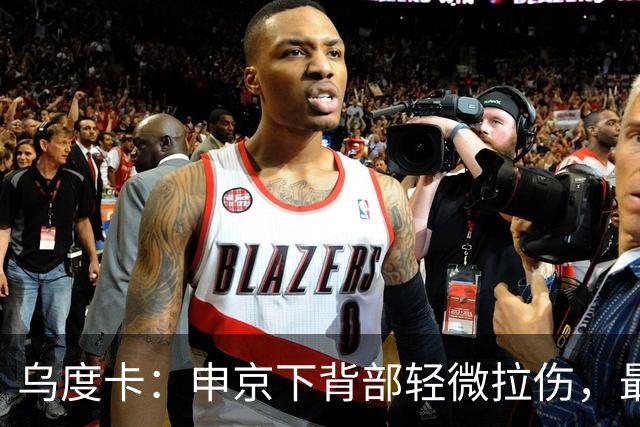 乌度卡：申京下背部轻微拉伤，最多缺席几场