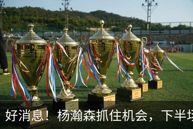 好消息！杨瀚森抓住机会，下半场逆袭6+7，3前场板，第3中锋稳了