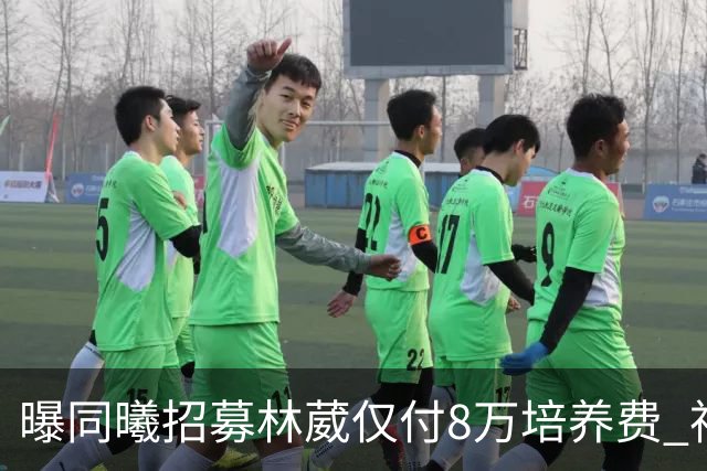 曝同曦招募林葳仅付8万培养费 神操作奠定未来