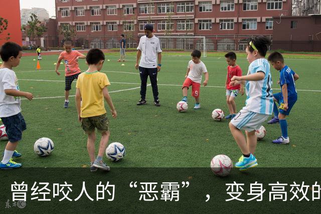 曾经咬人的“恶霸”，变身高效的“野兽”