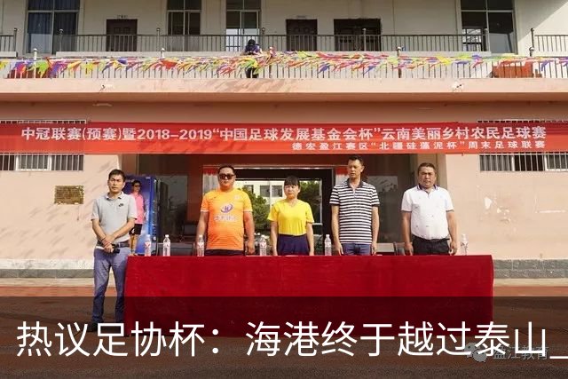 热议足协杯：海港终于越过泰山 希望亚冠也牛一把