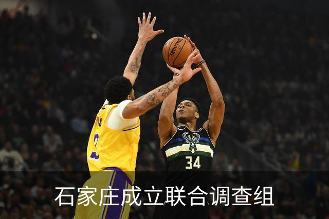 石家庄成立联合调查组