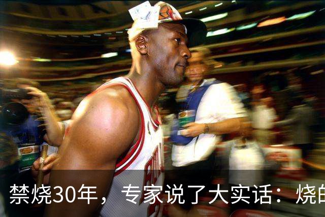 禁烧30年，专家说了大实话：烧的不是秸秆，是农村没啥人了！