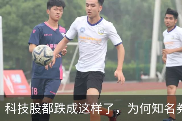 科技股都跌成这样了，为何知名券商首席却说科技行情还远未结束？