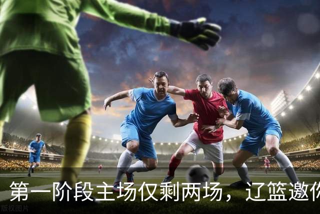 第一阶段主场仅剩两场，辽篮邀你现场为主队加油助威