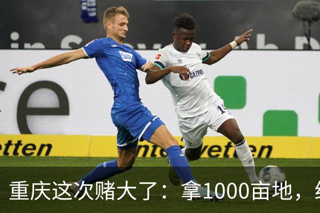 重庆这次赌大了：拿1000亩地，给无人机修所大学！