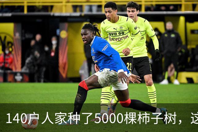 140户人家种了5000棵柿子树，这个浙江小村国庆6天来了8万人