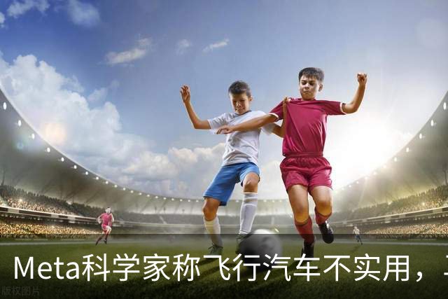Meta科学家称飞行汽车不实用，马斯克：我朝你放屁